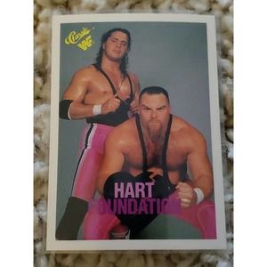 BRET & JIM HART ROOKIE THE HART FOUNDATION WWF 1990 CLASSIC WRESTLING CARD